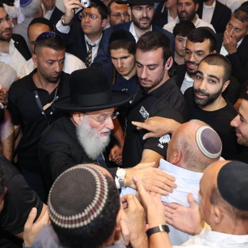 אבטחת אישים ומשלחות